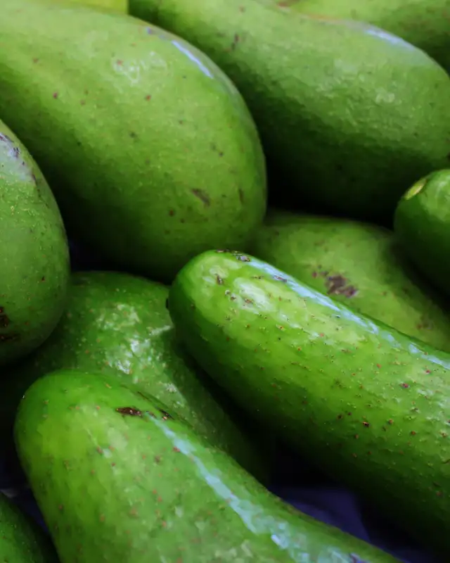 Aguacate