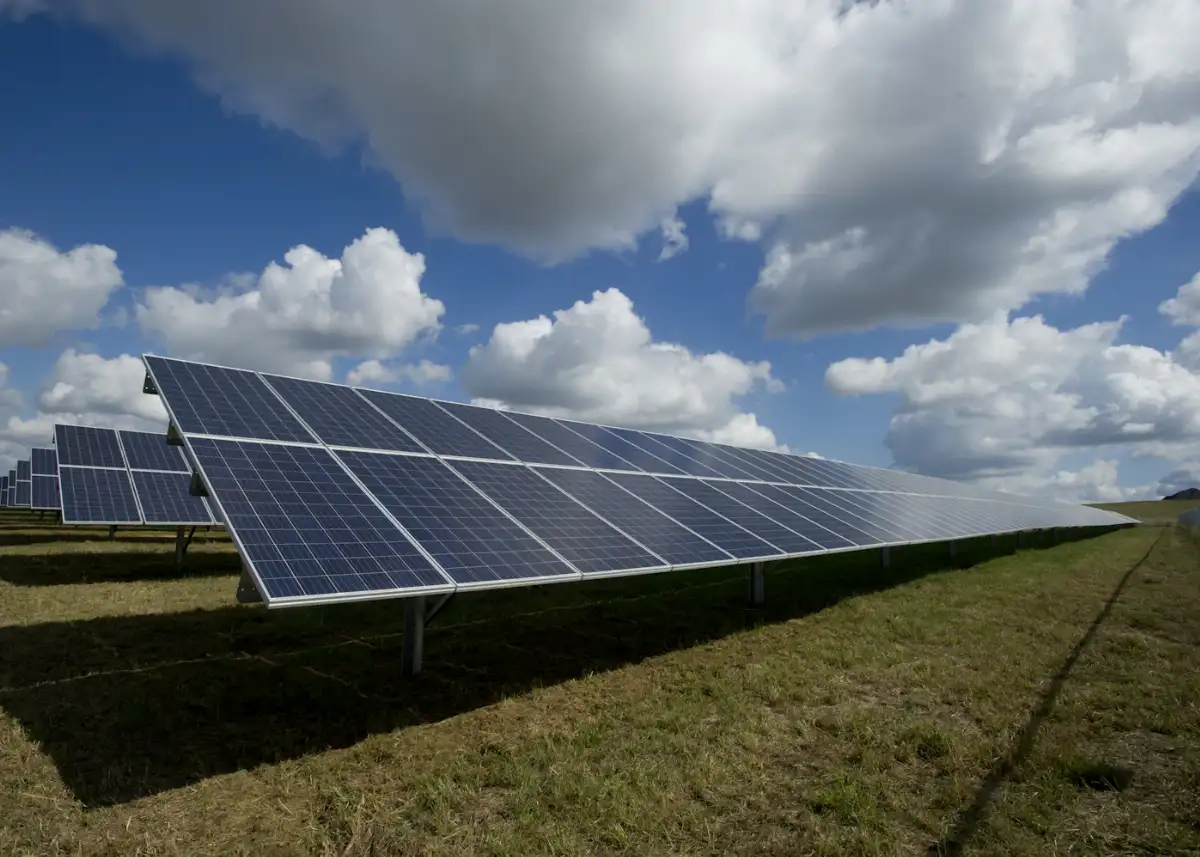 Paneles solares instalados en un campo